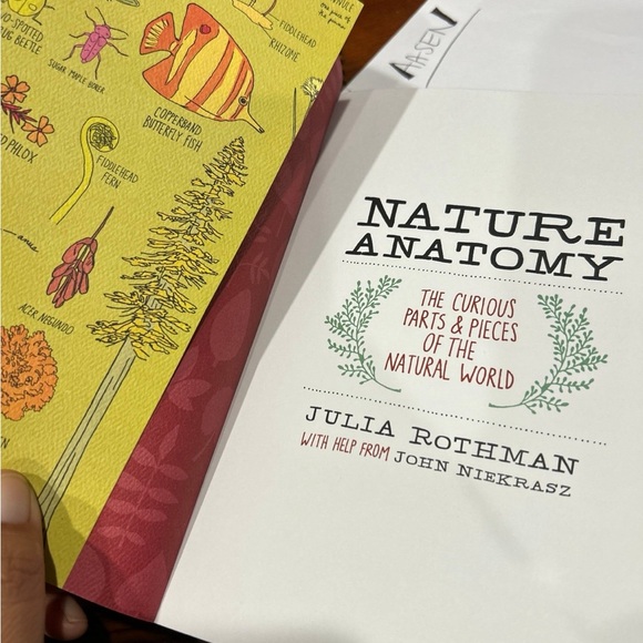 Julia Rothman Bundle - Picture 6 of 7